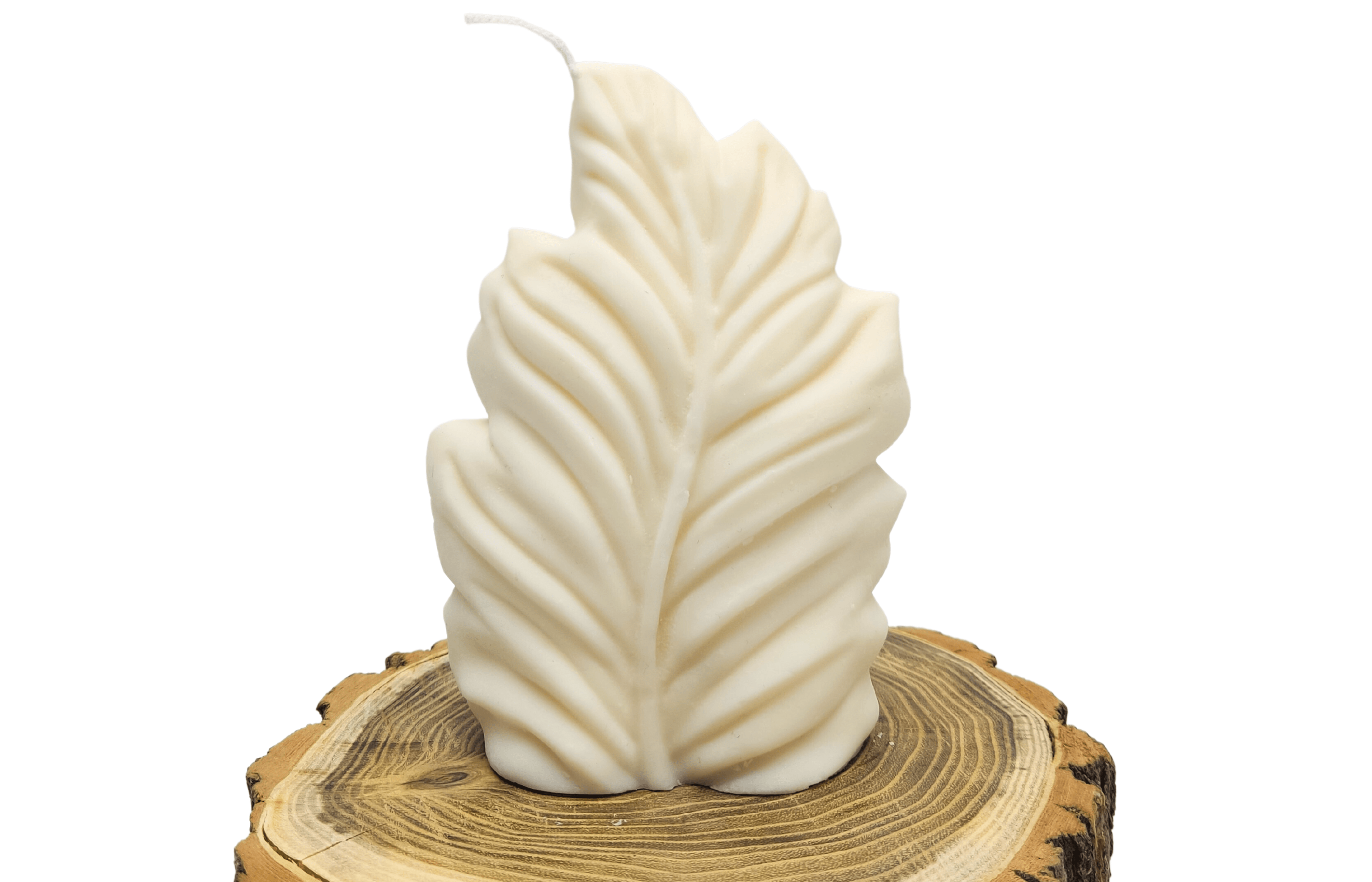 Szójagyertya - Nagy Levél