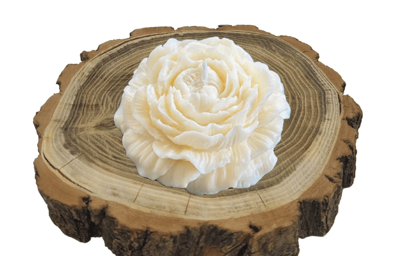 Szójagyertya - Rózsa